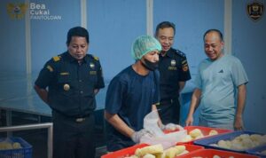 Bea Cukai Pantoloan Mendukung Ekspor Durian PT Duco Food Indonesia